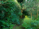 Filename=2.jpg
Filesize=1615KiB
Dimensions=1200x800
Date added=Jun 09, 2019 2.jpg