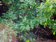 Filename=08-43-40-12.jpg
Filesize=1114KiB
Dimensions=1200x800
Date added=Jul 15, 2019 08-43-40-12.jpg