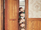 Filename=AT_M03_Tdance_28129.jpg
Filesize=471KiB
Dimensions=800x1200
Date added=May 24, 2019 AT_M03_Tdance_28129.jpg