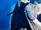 Filename=1569850430.jpg
Filesize=965KiB
Dimensions=811x1200
Date added=Oct 01, 2019 1569850430.jpg