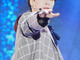 Filename=1569850513.jpg
Filesize=1385KiB
Dimensions=822x1200
Date added=Oct 01, 2019 1569850513.jpg