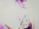 Filename=1653743311.jpg
Filesize=1114KiB
Dimensions=796x1200
Date added=May 28, 2022 1653743311.jpg