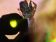 Filename=1655084953.jpg
Filesize=564KiB
Dimensions=675x1200
Date added=Jun 13, 2022 1655084953.jpg